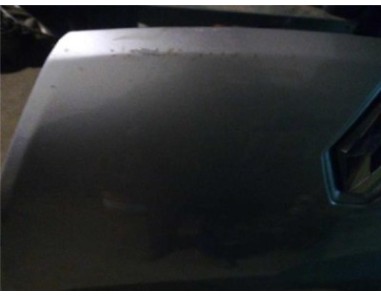 Capo Renault LAGUNA III 2 0 dCi D FAP 