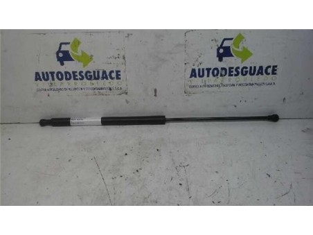 Amortiguador Capo Citroen C6 2 7 V6 HDi FAP 