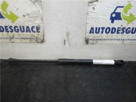 Amortiguador Capo Volkswagen TOURAN 1 9 TDI 