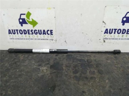 Amortiguador Capo Jaguar S-TYPE 3 0 V6 24V 