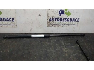 Amortiguador Capo Renault VEL SATIS 2 2 dCi Turbodiesel
