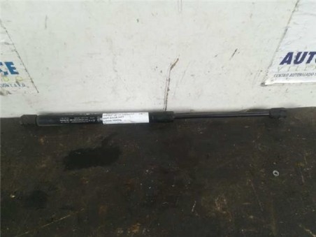 Amortiguador Capo Chevrolet CAPTIVA 2 0 D 