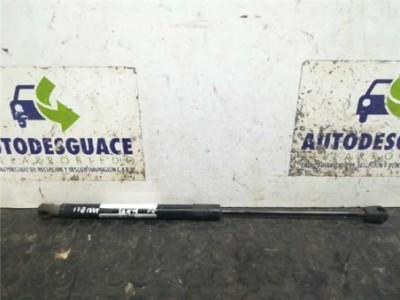 Amortiguador Capo Hyundai SANTA FE 2 2 CRDi
