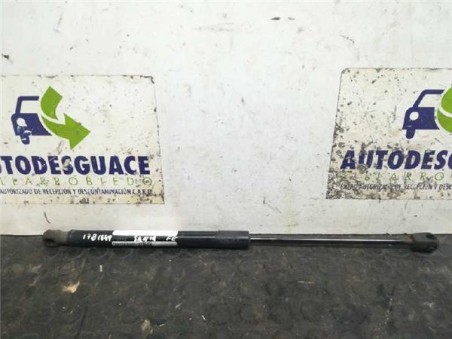 Amortiguador Capo Hyundai SANTA FE 2 2 CRDi 