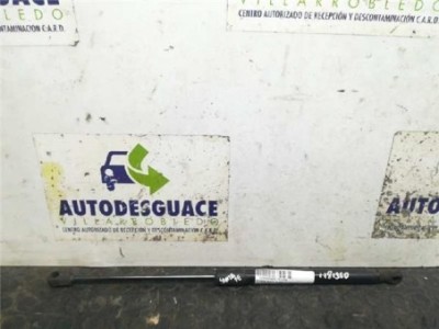 Amortiguador Capo Hyundai SANTA FE 2 2 CRDi