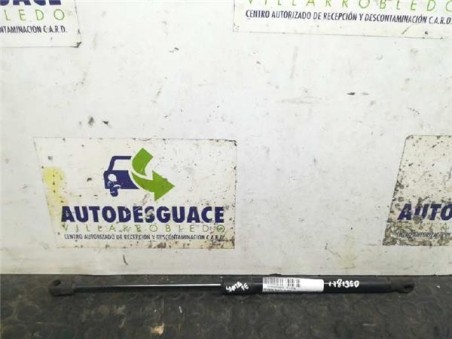 Amortiguador Capo Hyundai SANTA FE 2 2 CRDi 