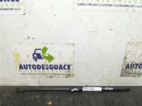 Amortiguador Capo Hyundai SANTA FE 2 2 CRDi 