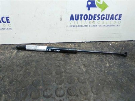 Amortiguador Capo BMW SERIE 3 COUPE 2 0 Turbodiesel 