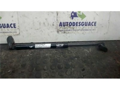 Amortiguador Capo Hyundai TERRACAN 2 9 CRDi