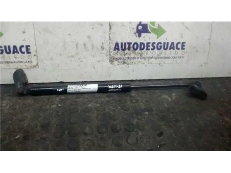 Amortiguador Capo Hyundai TERRACAN 2 9 CRDi 