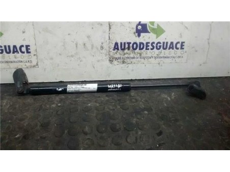 Amortiguador Capo Hyundai TERRACAN 2 9 CRDi 