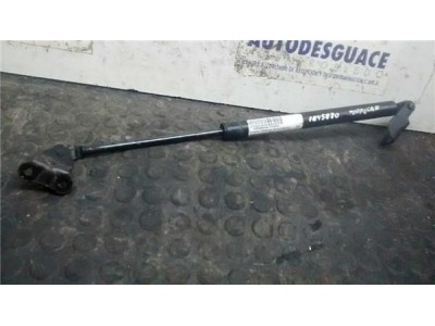 Amortiguador Capo Hyundai TERRACAN 2 9 CRDi