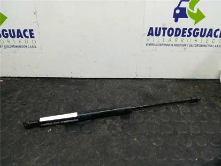 Amortiguador Capo BMW SERIE 3 COUPE 2 0 Turbodiesel 