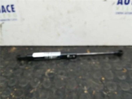 Amortiguador Capo BMW X5 3 0 24V Turbodiesel 