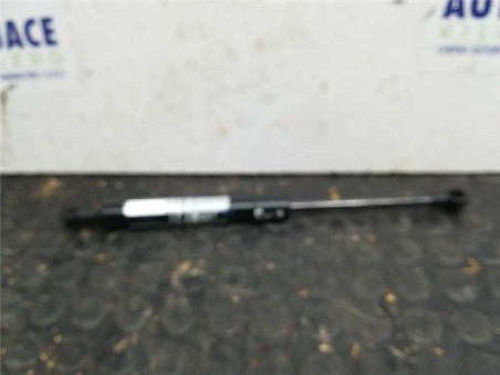 Amortiguador Capo BMW X5 3 0 24V Turbodiesel 