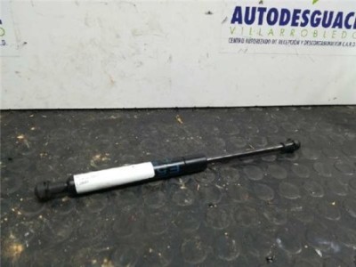 Amortiguador Capo BMW X5 3 0 24V Turbodiesel