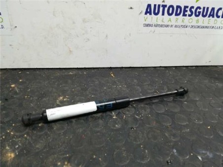 Amortiguador Capo BMW X5 3 0 24V Turbodiesel 