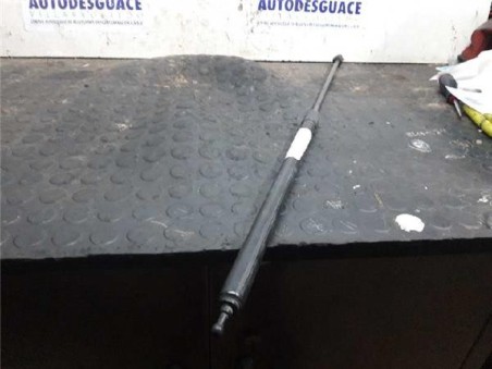 Amortiguador Capo Renault MEGANE III SPORT TOURER 1 5 dCi D FAP 