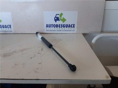Amortiguador Capo Dacia LODGY 1 5 dCi D FAP 