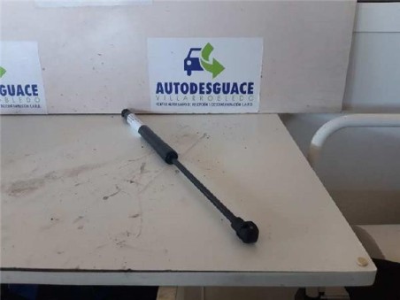 Amortiguador Capo Dacia LODGY 1 5 dCi D FAP 