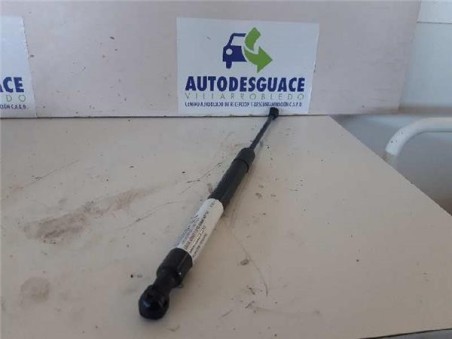 Amortiguador Capo Dacia LODGY 1 5 dCi D FAP 