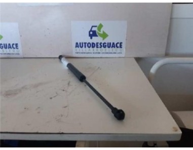 Amortiguador Capo Dacia LODGY 1 5 dCi D FAP 