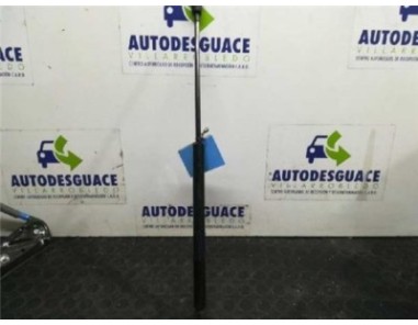 Amortiguador Capo Jaguar S-TYPE 2 7 V6 D 