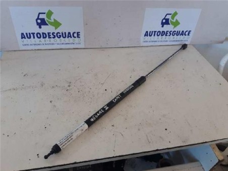 Amortiguador Capo Renault MEGANE III SPORT TOURER 1 5 dCi D FAP 
