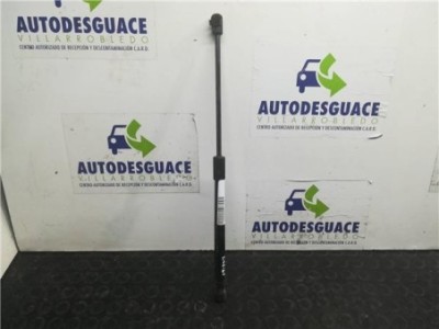 Amortiguador Capo Hyundai SANTA FE 2 2 CRDi