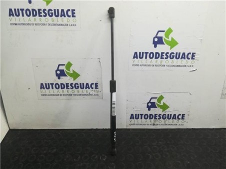 Amortiguador Capo Hyundai SANTA FE 2 2 CRDi 