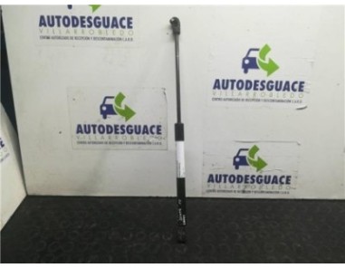 Amortiguador Capo Hyundai SANTA FE 2 2 CRDi 