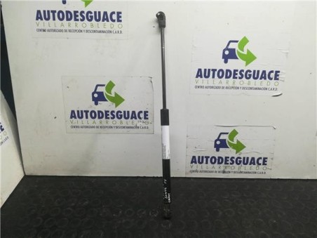 Amortiguador Capo Hyundai SANTA FE 2 2 CRDi 