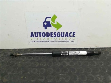 Amortiguador Capo Renault CAPTUR 0 9 TCE 