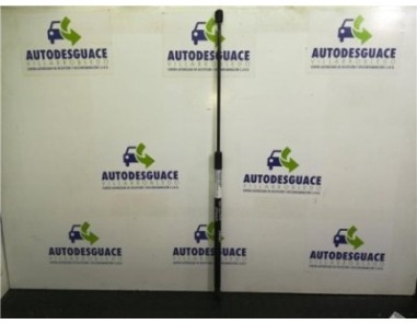 Amortiguador Capo Opel CROSSLAND X 1 6 16V CDTI DPF 