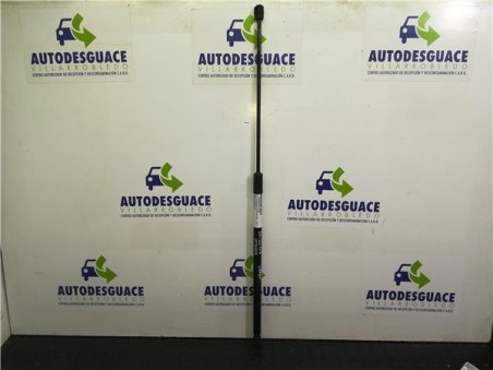 Amortiguador Capo Opel CROSSLAND X 1 6 16V CDTI DPF 