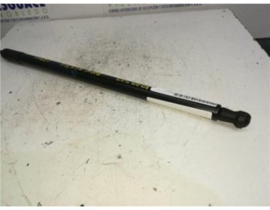 Amortiguador Capo BMW SERIE 7 3 6 V8 32V 