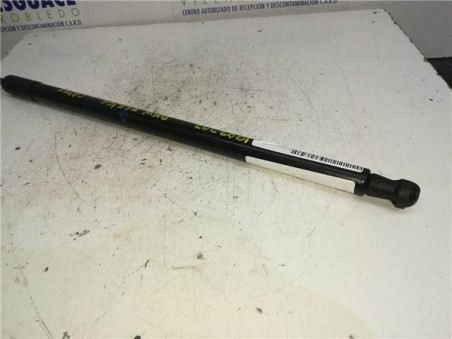 Amortiguador Capo BMW SERIE 7 3 6 V8 32V 