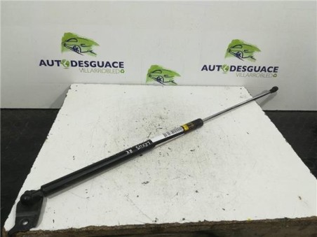 Amortiguador Capo Lexus RX 3 3 V6 24V 