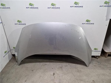 Capo Renault Scenic III  1 5 Business [1 5 Ltr  - 81 kW dCi Diesel FAP]