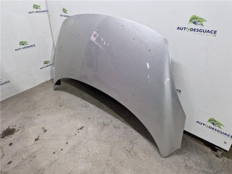 Capo Renault Scenic III  1 5 Business [1 5 Ltr  - 81 kW dCi Diesel FAP]