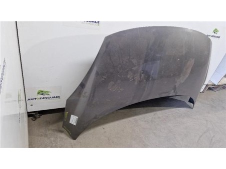 Capo Renault Scenic III  1 6 BOSE Edition [1 6 Ltr  - 96 kW dCi Diesel FAP]