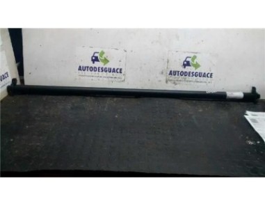 Bandeja Trasera Renault MEGANE II COUPE/CABRIO 1 9 dCi D 