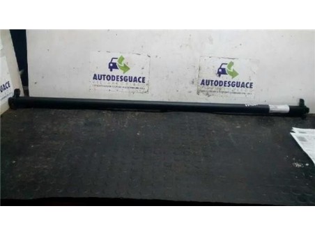 Bandeja Trasera Renault MEGANE II COUPE/CABRIO 1 9 dCi D 