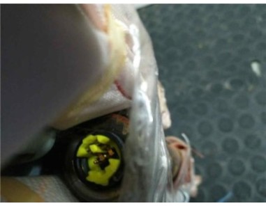 Airbag cortina delantero derecho Mazda 2 LIM  1 5 16V 