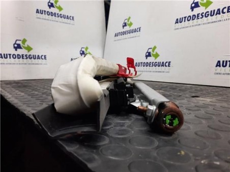 Airbag cortina delantero derecho Cadillac BLS 1 9 D PDF 