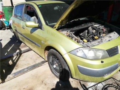 Puerta Delantera Izquierda Renault MEGANE II BERLINA 5P 1 9 dCi D  2