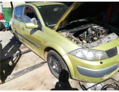 Puerta Delantera Izquierda Renault MEGANE II BERLINA 5P 1 9 dCi D 