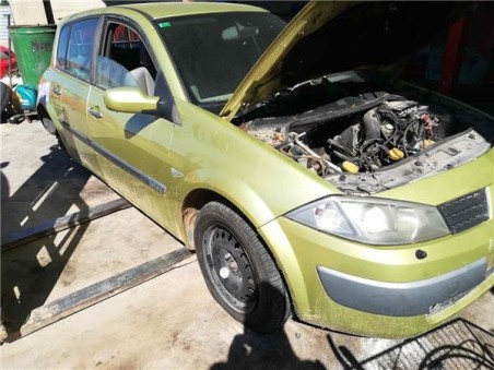 Puerta Delantera Izquierda Renault MEGANE II BERLINA 5P 1 9 dCi D 