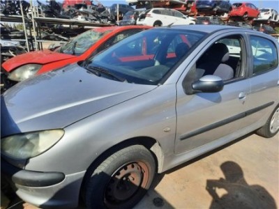 Puerta Trasera Derecha Peugeot 206  1 9 D