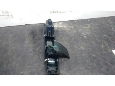 Botonera Puerta Delantera Derecha Renault SCENIC III 1 5 dCi D FAP